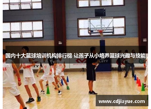 国内十大篮球培训机构排行榜 让孩子从小培养篮球兴趣与技能